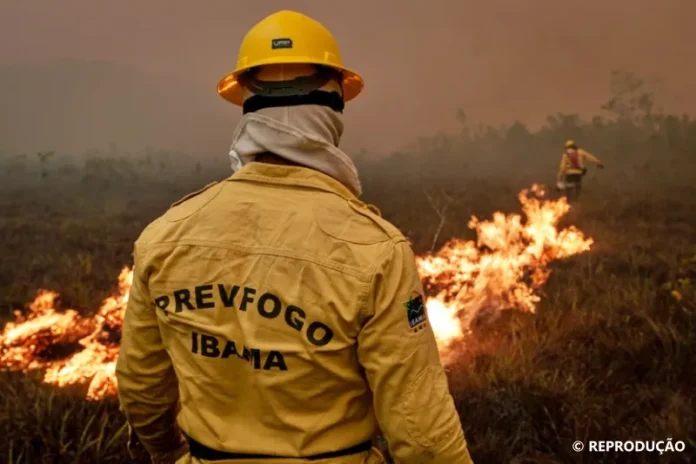 ibama-debelando-fogo