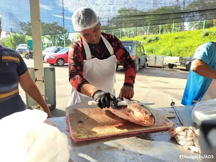 feirao-do-pescado-ads