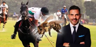 Bilionário morre após engolir abelha durante partida de polo na Inglaterra