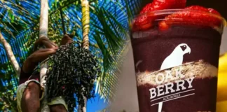 Tarifa de Trump pode tornar açaí artigo de luxo nos EUA