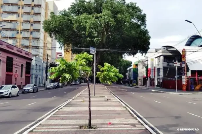 avenida-getulio-vargas-reproducao