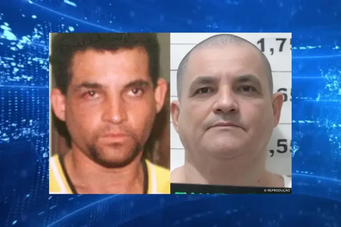 maniaco-do-parque-reproducao