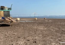 Vazante do Rio Negro perde velocidade em Manaus nesta semana