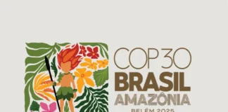A voz da floresta antes da COP30
