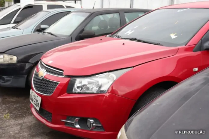 leilao-veiculos-reproducao