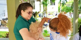 Mutirão gratuito de saúde animal e familiar no Nova Cidade