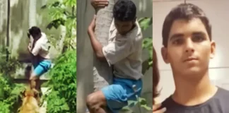 Jovem morre após invadir jaula de leoa em zoológico de João Pessoa