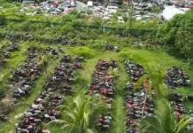 Ladrões invadem parqueamento da Polícia Civil e levam 9 veículos