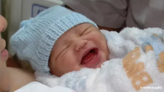 bebe-pedro-henrique-2026-manaus-reproducao