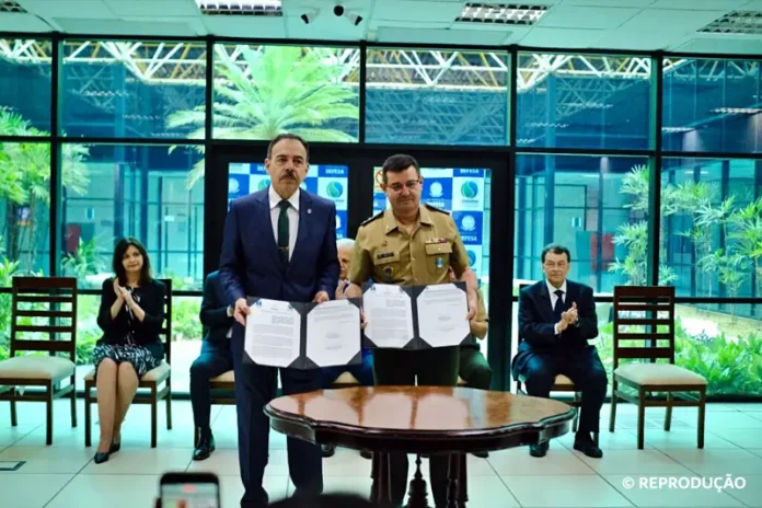 criacao-ipeam-divulgacao