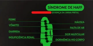 Toxina em peixe causa alerta de saúde com três casos de Haff em Itacoatiara