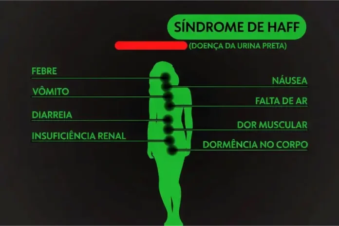 sindrome-de-haff-arte
