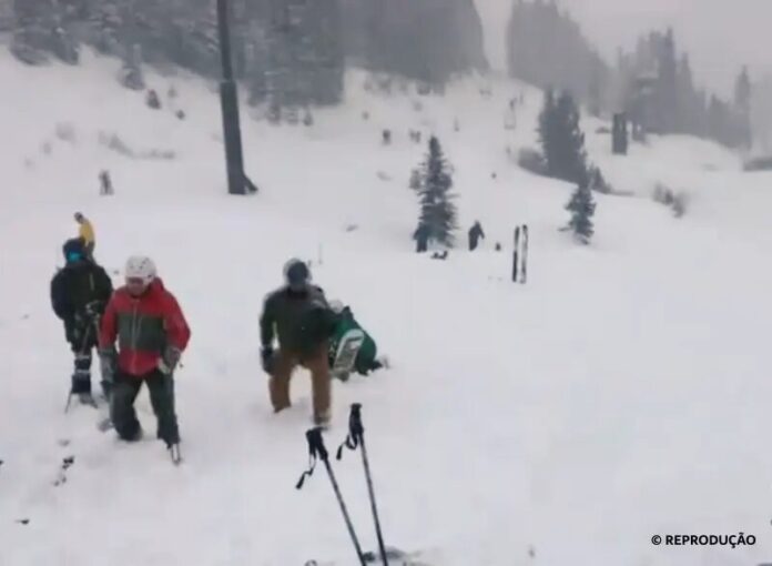 avalanche_reproducao