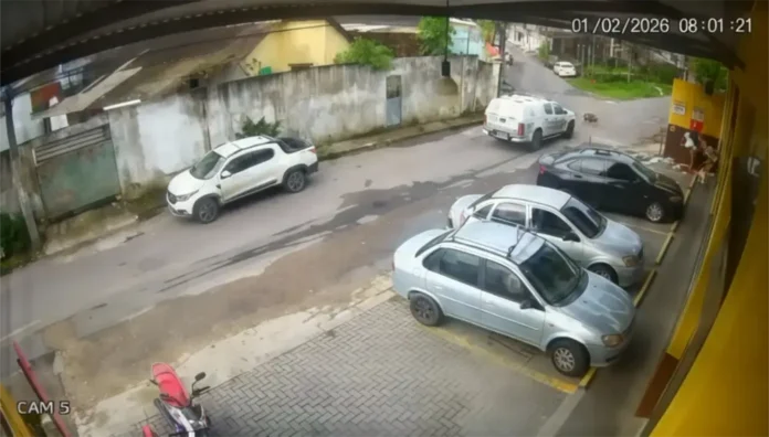 viatura-pm-atropela-e-mata-cadelas-novo-aleixo