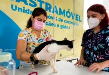 Shopping Ponta Negra recebe Castramóvel para castração gratuita em Manaus