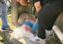 Recém-nascida é encontrada morta dentro de sacola no Nova Cidade