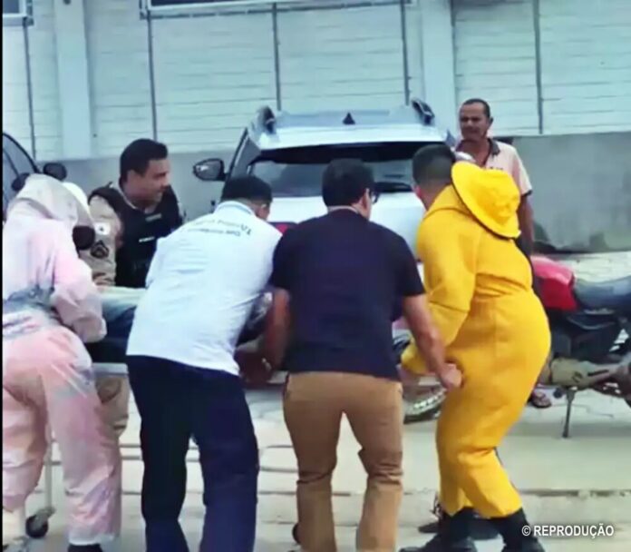 homem-morre-ataque-enxame-abelhas-minas-gerais