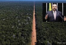 Átila Lins celebra licitação da BR-319 e destaca fim do isolamento do Amazonas