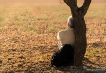 Isolamento social na velhice aumenta risco de demência